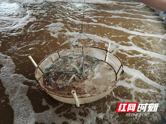 王进强2.marked.png 王进强2.marked.png